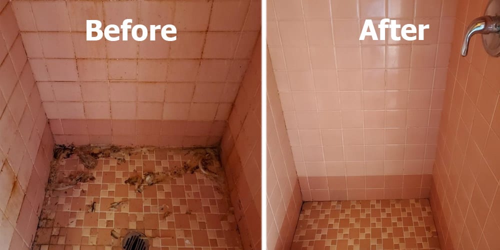 shower tile cleaning in Central New Jersey