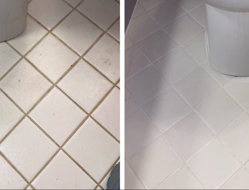 Searching for Grout Cleaning Near You in Scotch Plains, NJ? Call The Grout Medic for a Free Consultation!